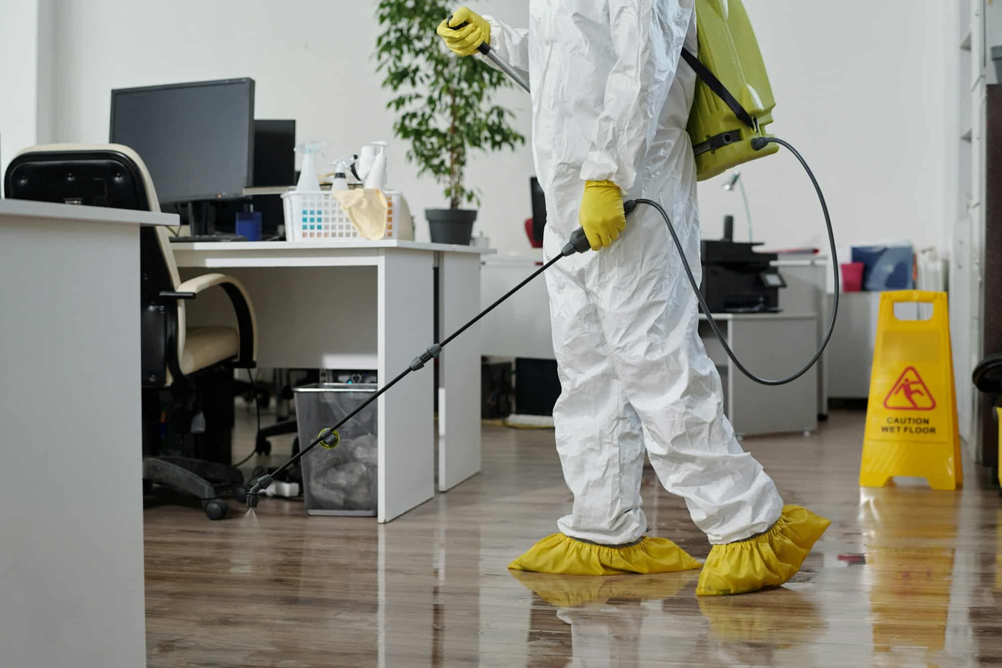 éviter une nouvelle infestation